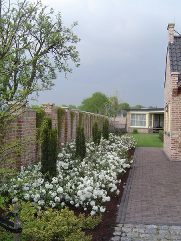 Aanleg gehele tuin nieuwbouw, Someren